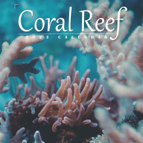 Coral UK Review & Rating 2023 .